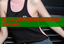 糖心vlog揭秘离婚律师成功背后的实用秘诀解析