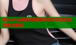 糖心vlog揭秘离婚律师成功背后的实用秘诀解析