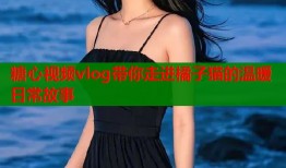 糖心视频vlog带你走进橘子猫的温暖日常故事