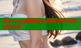 糖心vlog破解网站全攻略详解与实用技巧分享